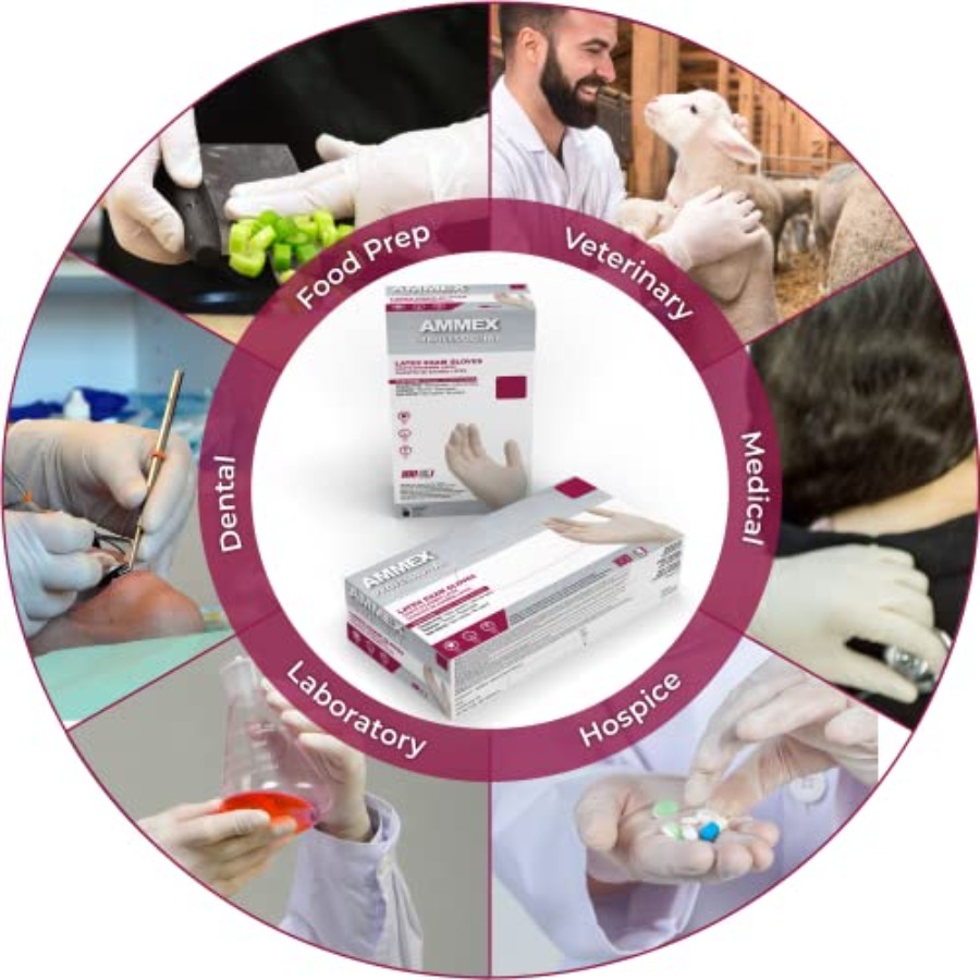 AMMEX White Latex Disposable E - Latex Disposable Glove recensione e prezzo